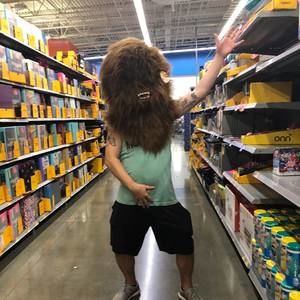 Meet your Posher, Sam